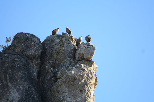 Copia de IMG_6047