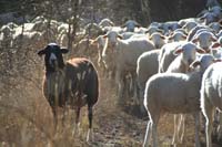 Copia de IMG_6021