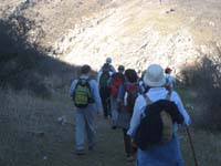 IMG_0971 b