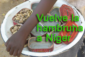 Vuelve la hambruna a Níger