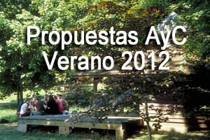 Propuestas AyC Verano 2012