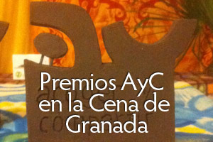 Cena AyC GRANADA