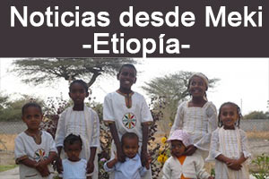Noticias desde Meki
